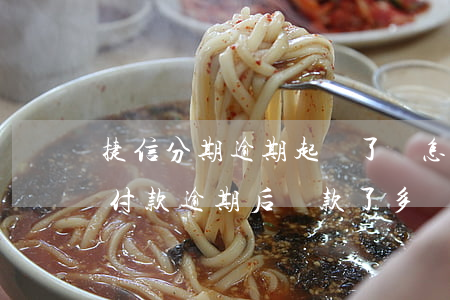捷信分期逾期起訴了該怎么還款-捷信分期付款逾期后還款了多長(zhǎng)時(shí)間能在分期
