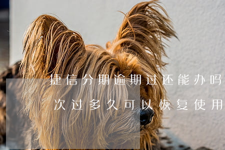 捷信分期逾期过还能办吗(捷信分期逾期过一次过多久可以恢复使用)