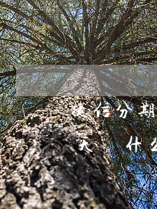 捷信分期逾期過還能分期(捷信分期逾期了一天為什么讓還2個(gè)月的)