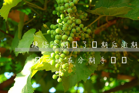 捷信分期還了幾期后逾期(捷信逾期已經還了還可以在分期手機嗎)