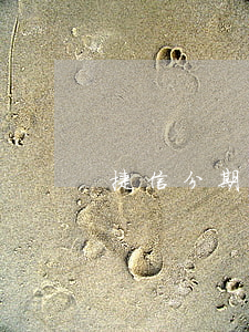 捷信分期雙11免息(捷信分期11多少錢)