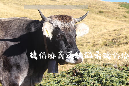 捷信协商还款记录(捷信协商结清)