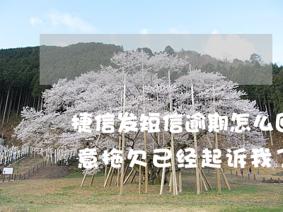 捷信发短信逾期怎么回事(捷信发短信说我恶意拖欠已经起诉我了)