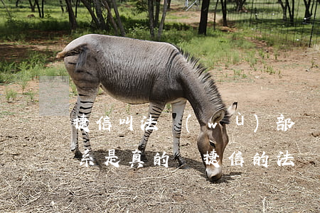 捷信叫法務(wù)部給我聯(lián)系是真的嗎(捷信的法務(wù)部門(mén)是真的嗎)