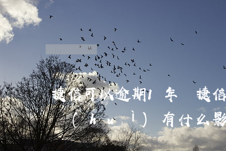 捷信可以逾期1年嗎(捷信逾期一年后還上的,會(huì)有什么影響嗎)
