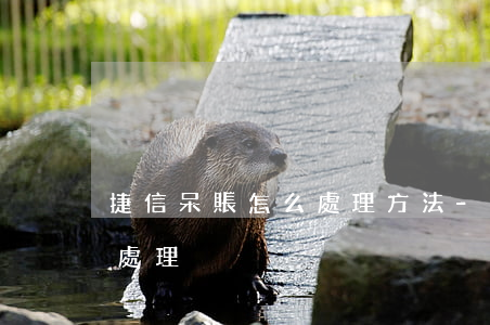 捷信呆賬怎么處理方法-捷信金融呆賬怎么處理