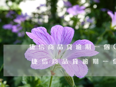 捷信商品貸逾期一個(gè)月了怎么辦-捷信商品貸逾期一個(gè)月了怎么辦呢
