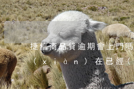 捷信商品貸逾期會上門嗎(捷信貸款逾期了,現(xiàn)在已經(jīng)上門了怎么辦?)