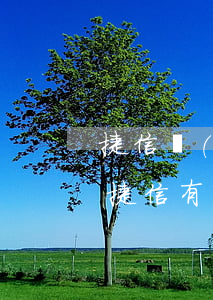 捷信嚴(yán)重逾期可以辦理信用卡嗎(捷信有逾期還能辦理銀行信用貸款業(yè)務(wù)嗎?)