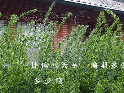 捷信四天不換逾期多少錢(捷信四天不換逾期多少錢)