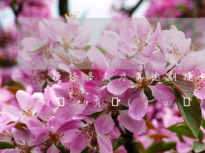 捷信多久才算逾期(捷信貸款逾期多久會被起訴:有規(guī)定嗎?)