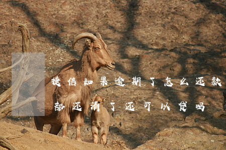 捷信如果逾期了怎么还款(捷信逾期了但是全部还清了还可以贷吗?)