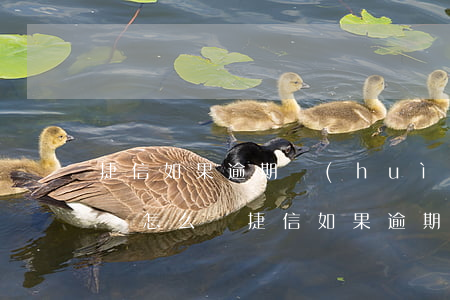 捷信如果逾期會(huì)影響信用卡還款嗎怎么辦（捷信如果逾期會(huì)影響信用卡還款嗎）