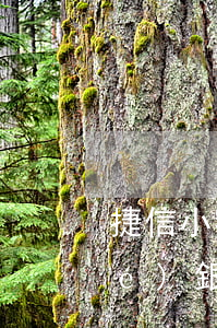 捷信小額逾期三年會(huì)凍結(jié)銀行卡嗎-捷信小額逾期三年會(huì)凍結(jié)銀行卡嗎安全嗎