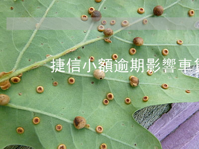 捷信小額逾期影響車貸嗎