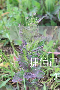 捷信已經(jīng)逾期1個月了以后不還會怎么樣（捷信信用卡逾期1個月）