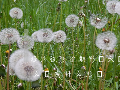 捷信征信逾期影響大嗎(捷信貸款有逾期會怎么樣 有什么影響?)