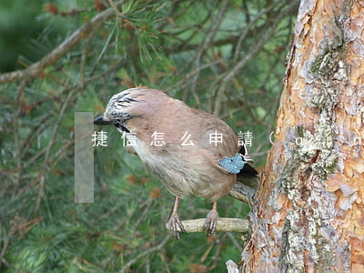 捷信怎么申請(qǐng)逾期