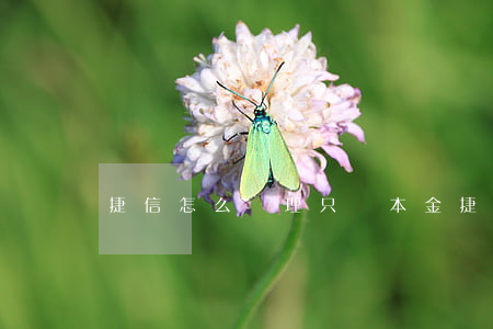 捷信怎么處理只還本金 捷信只還本金的方法