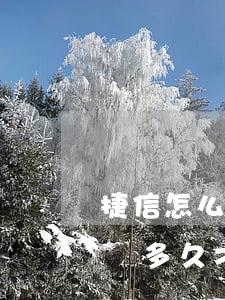 捷信怎么處理逾期(以前捷信逾期過,還好了,要過多久才可以再辦捷信)