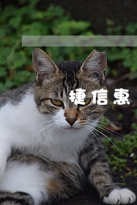 捷信惠購逾期1900會(huì)被起訴嗎