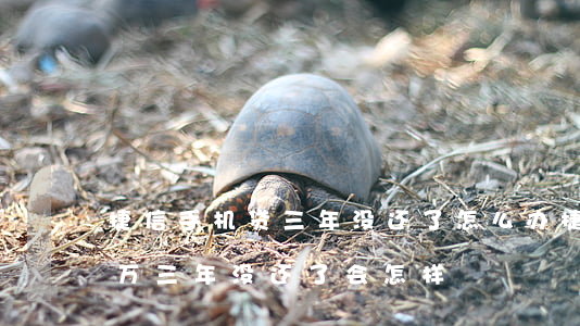 捷信手机贷三年没还了怎么办(捷信金融贷两万三年没还了会怎样)