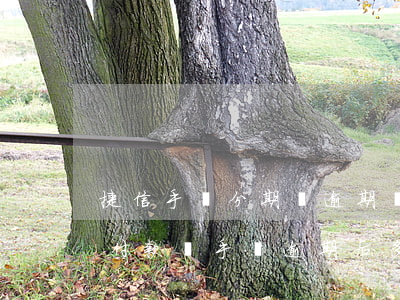 捷信手機分期貸逾期會被起訴嗎-捷信分期付款買手機逾期后多久會被起訴
