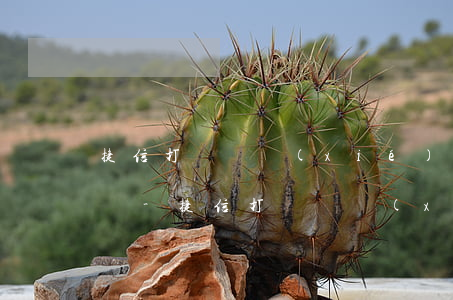 捷信打電話協(xié)商最低還款該怎么辦-捷信打電話協(xié)商最低還款該怎么辦呢