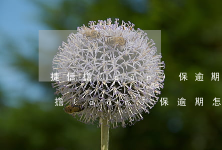 捷信擔(dān)保逾期怎么知道起訴(捷信擔(dān)保逾期怎么知道起訴)