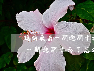 捷信最后一期逾期十天了怎么辦-捷信最后一期逾期十天了怎么辦啊