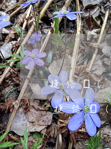 捷信會(huì)起訴嗎會(huì)上門捷信會(huì)上門催款嗎（捷信逾期會(huì)帶著記者上門嗎）