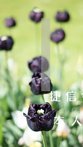 捷信會找到逾期的本人嗎(捷信會找到逾期的本人嗎)