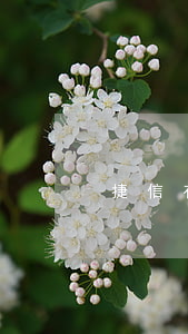 捷信有权起诉逾期者吗