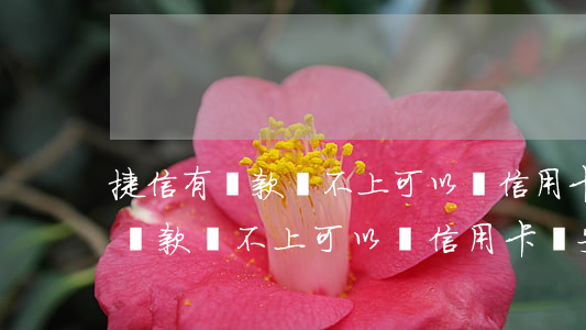 捷信有貸款還不上可以辦信用卡嗎-捷信有貸款還不上可以辦信用卡嗎安全嗎