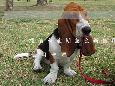 捷信有逾期怎么辦信用卡-捷信逾期影響辦信用卡嗎