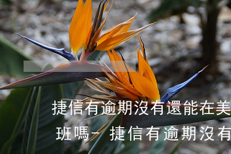 捷信有逾期沒有還能在美團(tuán)上班嗎-捷信有逾期沒有還能在美團(tuán)上班嗎安全嗎