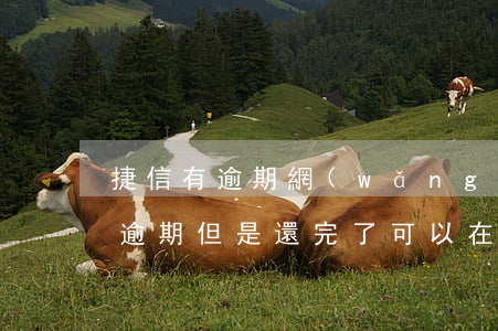 捷信有逾期網(wǎng)貸還能下嗎(捷信逾期但是還完了可以在其他平臺(tái)貸款嗎)