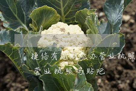 捷信有逾期能办营业执照吗(捷信有逾期能办营业执照吗贴吧)