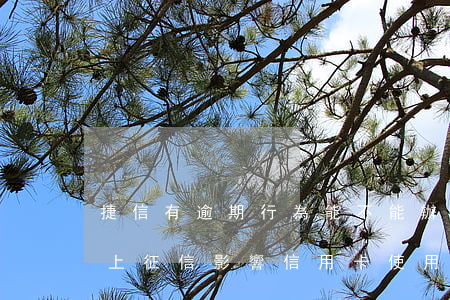 捷信有逾期行為能不能辦理信用卡(捷信逾期上征信影響信用卡使用嗎)
