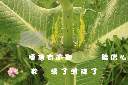 捷信有逾期記錄還能借么(捷信有逾期記錄,欠款還清了,消除了嗎)