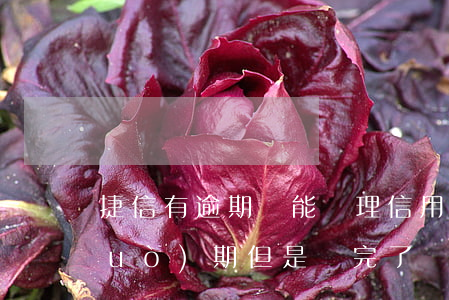 捷信有逾期還能辦理信用卡嗎(捷信逾過(guò)期,但是還完了會(huì)不會(huì)影響申請(qǐng)信用卡)