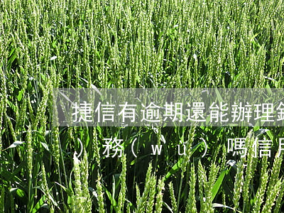 捷信有逾期還能辦理銀行信用貸款業(yè)務(wù)嗎?（信用卡逾期可以用捷信）