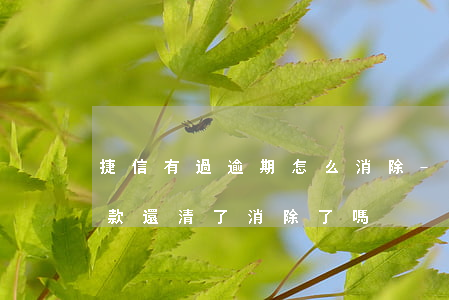 捷信有過逾期怎么消除-捷信有逾期記錄,欠款還清了,消除了嗎