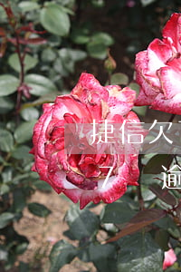 捷信欠7萬逾期2年被起訴怎么辦-捷信欠7萬逾期2年被起訴怎么辦呢