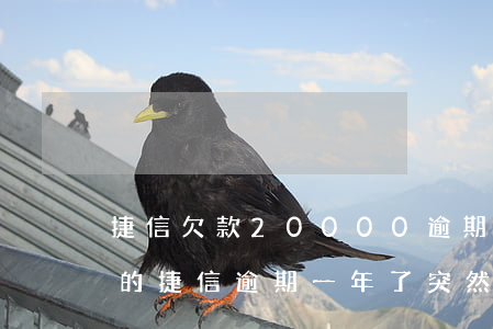 捷信欠款20000逾期一年有没有被起诉的（捷信逾期一年了突然给我发起诉书）
