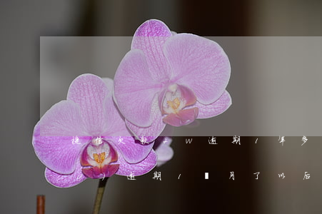 捷信欠款2w逾期1年多(捷信已經(jīng)逾期1個月了以后不還會怎么樣)