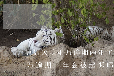 捷信欠款4万逾期两年了(欠捷信金融6.5万,逾期一年会被起诉吗?)