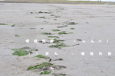 捷信欠款兩萬(wàn)逾期半年會(huì)怎么樣-捷信欠款兩萬(wàn)逾期半年會(huì)怎么樣呢