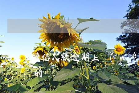 捷信欠款逾期上門(mén)收款是不是真的
