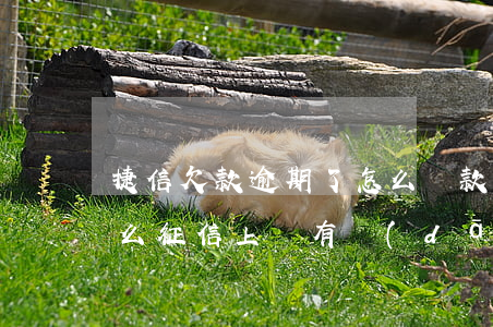 捷信欠款逾期了怎么還款(捷信逾期還清了怎么征信上還有當(dāng)前逾期)